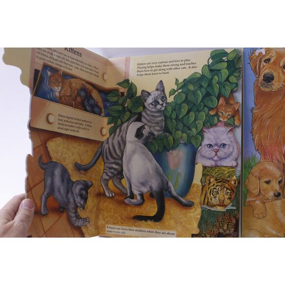 Cats and Kittens At Your Fingertips, Dogs & Puppies At Your Fingertips - Picture 2 of 3